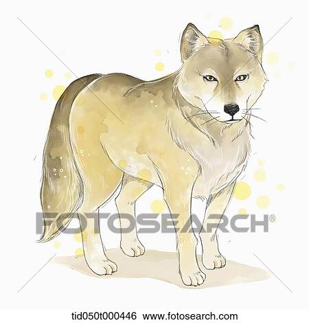 illustration painting of wolf View Large Illustration Stock Illustration - illustration painting of wolf. Fotosearch