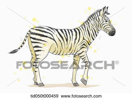 illustration painting of zebra View Large Illustration Stock Illustration - illustration painting of zebra. Fotosearch