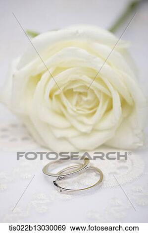 wedding rings and a white rose View Large Illustration Stock Illustration - wedding rings and a white rose. Fotosearch