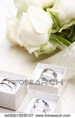 wedding rings and a white roses View Large Illustration Stock Illustration - wedding rings and a white roses. Fotosearch