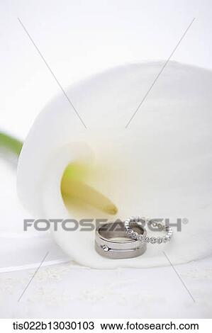 Drawing - wedding rings inside a flower. Fotosearch