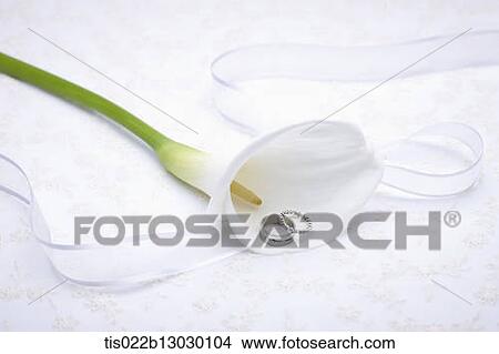 Stock Illustration - wedding rings inside a flower. Fotosearch