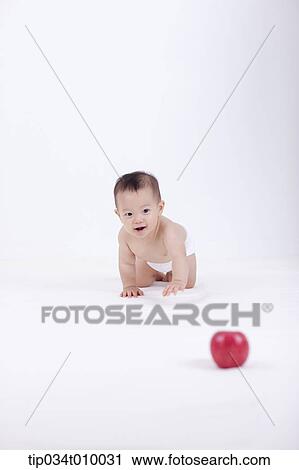 a baby in diaper crawling to an apple View Large Photo Image Stock Image - a baby in diaper crawling to an apple. Fotosearch
