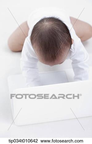 a baby using a laptop View Large Photo Image Stock Image - a baby using a laptop. Fotosearch