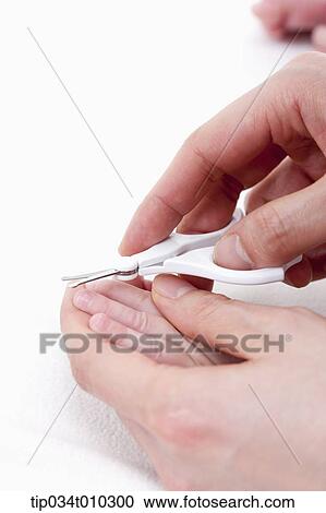 a hand cutting baby's nail View Large Photo Image Stock Image - a hand cutting baby's nail. Fotosearch