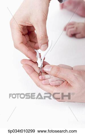 a hand cutting baby's nail View Large Photo Image Stock Photo - a hand cutting baby's nail. Fotosearch