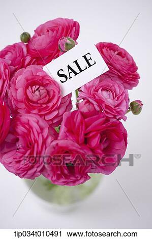 Stock Image - a memo saying sale among flowers. Fotosearch