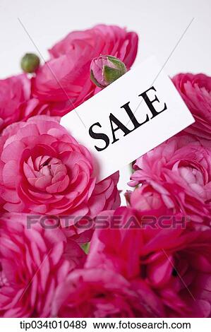 Stock Photo - a memo saying sale among flowers. Fotosearch