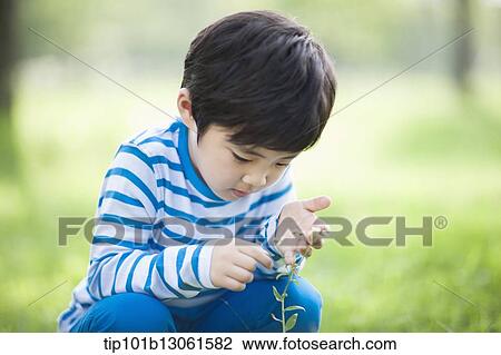 Stock Image - a boy exploring the nature. Fotosearch