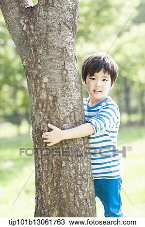 Stock Image - a boy hiding behind a tree. Fotosearch
