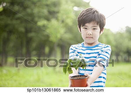 a boy holding a plant View Large Photo Image Stock Photography - a boy holding a plant. Fotosearch