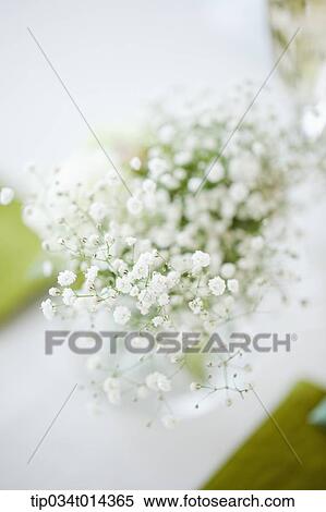 Stock Photography - a close up shot of wedding flower. Fotosearch