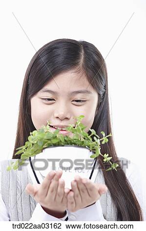 a girl dressed as a student holding a plant View Large Photo Image Stock Image - a girl dressed as a student holding a plant. Fotosearch