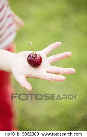 Stock Photo - a girl holding a bunch of cherries. Fotosearch