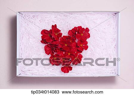 a heart shape inside a box filled with flowers View Large Photo Image Stock Image - a heart shape inside a box filled with flowers . Fotosearch