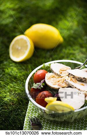 a picnic set spread out on the grass View Large Photo Image Stock Photograph - a picnic set spread out on the grass. Fotosearch
