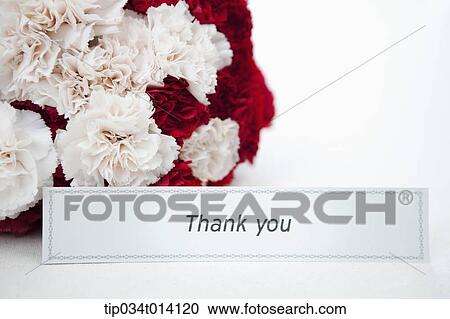 Stock Image - a thank you note next to a flower bundle. Fotosearch