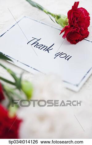 Stock Photograph - a thank you note next to flowers. Fotosearch
