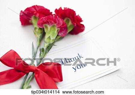 a thank you note with flowers View Large Photo Image Picture - a thank you note with flowers. Fotosearch