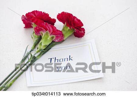 Stock Image - a thank you note with flowers. Fotosearch