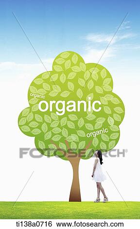 a woman next to an illustrated tree with the word organic View Large Photo Image Stock Photograph - a woman next to an illustrated tree with the word organic. Fotosearch