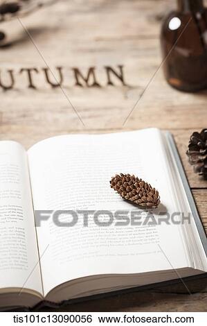 a word autumn on a wood surface with an open book View Large Photo Image Stock Photograph - a word autumn on a wood surface with an open book. Fotosearch