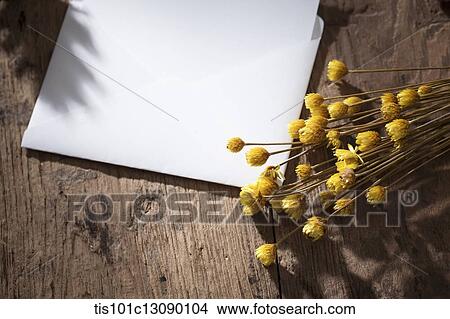 an envelop and autumn flowers on wooden surface View Large Photo Image Picture - an envelop and autumn flowers on wooden surface. Fotosearch