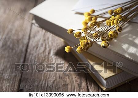 an envelop with flowers on pile of books on wooden surface View Large Photo Image Stock Photograph - an envelop with flowers on pile of books on wooden surface. Fotosearch