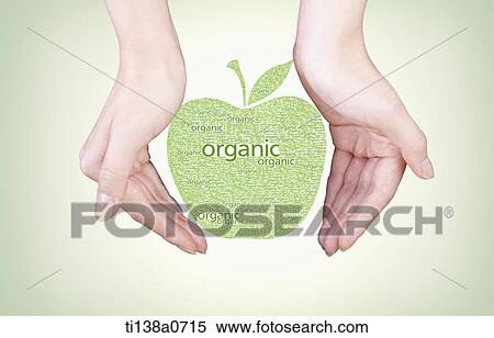an illustrated apple between a woman's hands View Large Photo Image Stock Photography - an illustrated apple between a woman's hands. Fotosearch