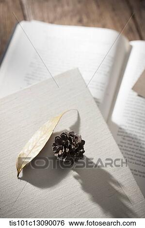 an open book with a card on wooden surface View Large Photo Image Stock Photograph - an open book with a card on wooden surface. Fotosearch