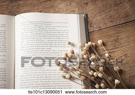 Stock Image - an open book with autumn flowers. Fotosearch