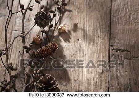 autumn branches and pine cone on wooden surface View Large Photo Image Stock Photo - autumn branches and pine cone on wooden surface. Fotosearch