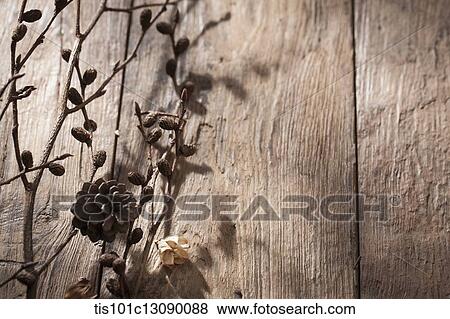autumn branches and pine cone on wooden surface View Large Photo Image Stock Photo - autumn branches and pine cone on wooden surface. Fotosearch