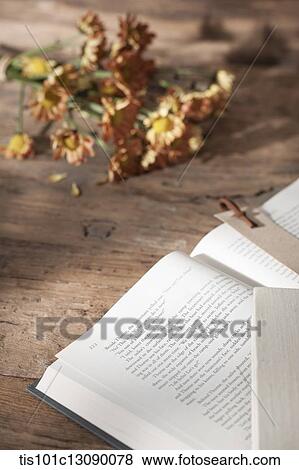 autumn flowers and open book on wooden surface View Large Photo Image Stock Photo - autumn flowers and open book on wooden surface. Fotosearch