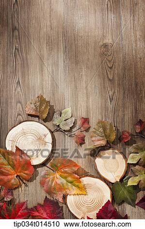 Stock Image - autumn leaves in wood background. Fotosearch