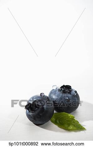 Stock Image - close up shot of blue berries. Fotosearch