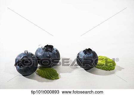 Stock Image - close up shot of blue berries. Fotosearch