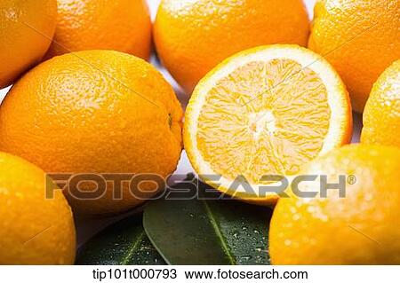 close up shot of oranges View Large Photo Image Stock Image - close up shot of oranges. Fotosearch
