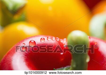 Stock Image - close up shot of paprika. Fotosearch