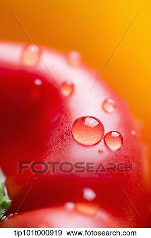 Stock Photo - close up shot of paprika. Fotosearch