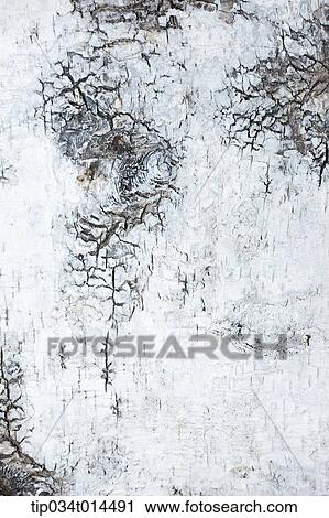 Stock Image - close up shot of wood surface. Fotosearch