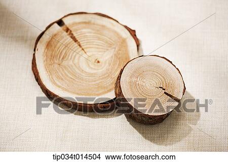 cut surface of woods View Large Photo Image Picture - cut surface of woods . Fotosearch