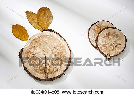Stock Photo - cut surface of woods . Fotosearch