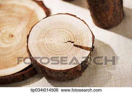 cut surface of woods View Large Photo Image Stock Photograph - cut surface of woods . Fotosearch