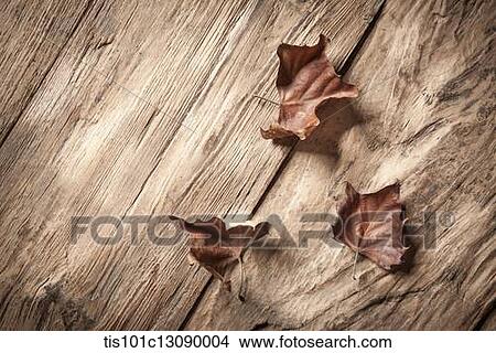 dead leaves on wood surface View Large Photo Image Picture - dead leaves on wood surface. Fotosearch