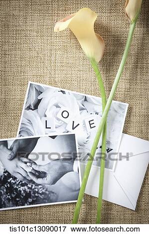 flowers and picture on a brown background View Large Photo Image Stock Photo - flowers and picture on a brown background. Fotosearch