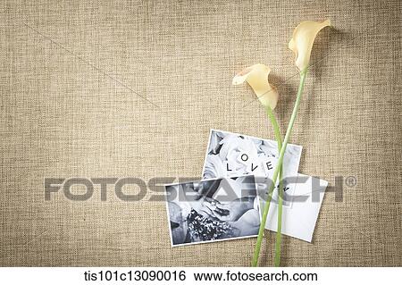 Stock Photograph - flowers and picture on a brown background. Fotosearch