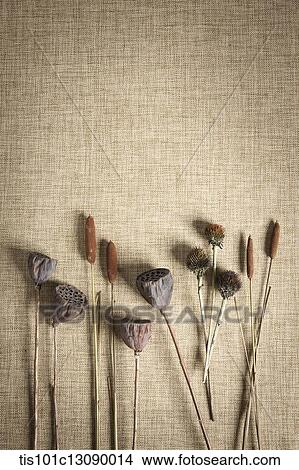 grains on a brown background View Large Photo Image Picture - grains on a brown background. Fotosearch