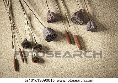 grains on a brown background View Large Photo Image Stock Photography - grains on a brown background. Fotosearch