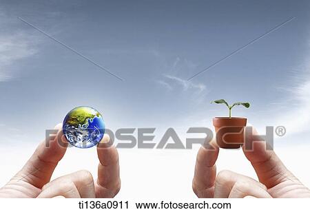 Stock Image - hands holding a plant and the globe. Fotosearch